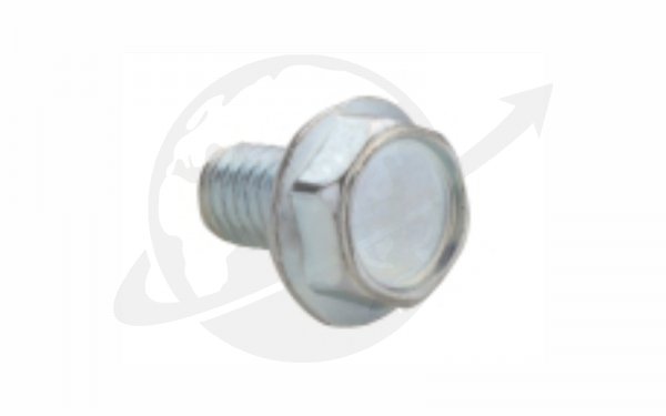 Flange Bolt